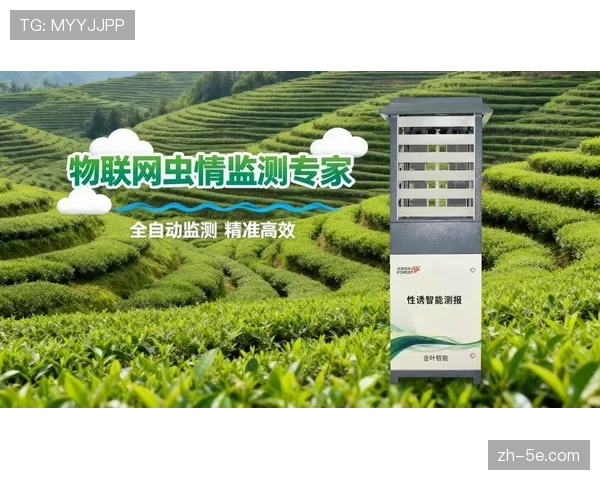 运动损伤预警系统结合可穿戴AI 高风险动作识别率达95%